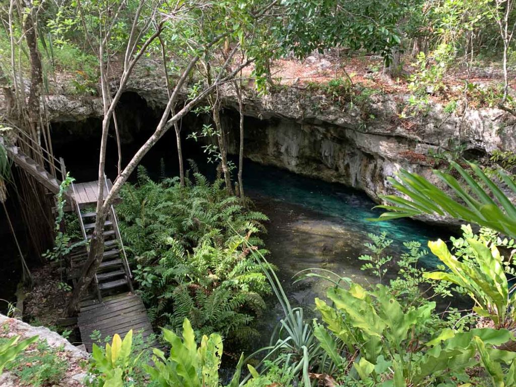 The top cenotes by Tulum & the best cenote diving in Mexico