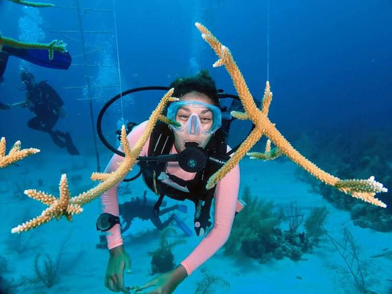 Coral Reef Restoration - What It Is And How To Take Action